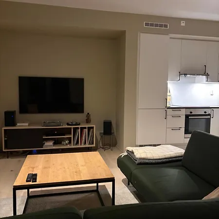 New Modern Apartment, Close To Airport 公寓 卑爾根